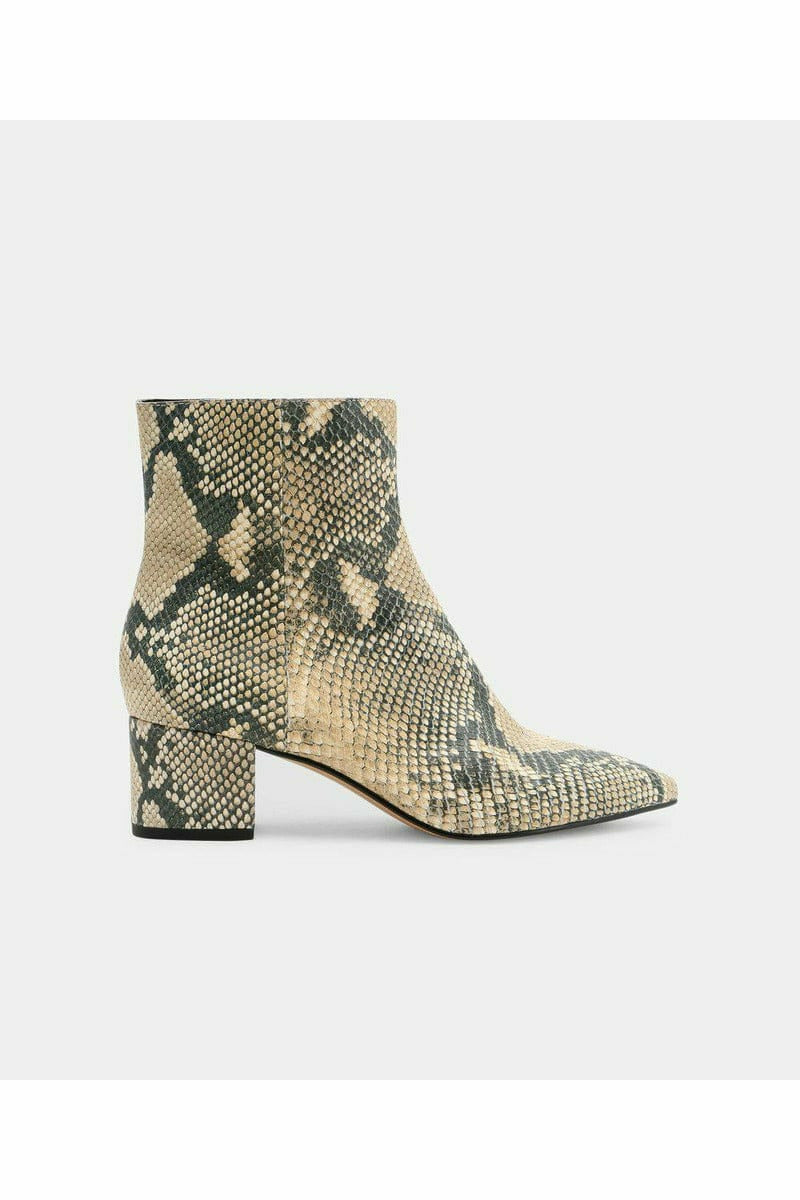 Dolce vita 2025 bel booties snake